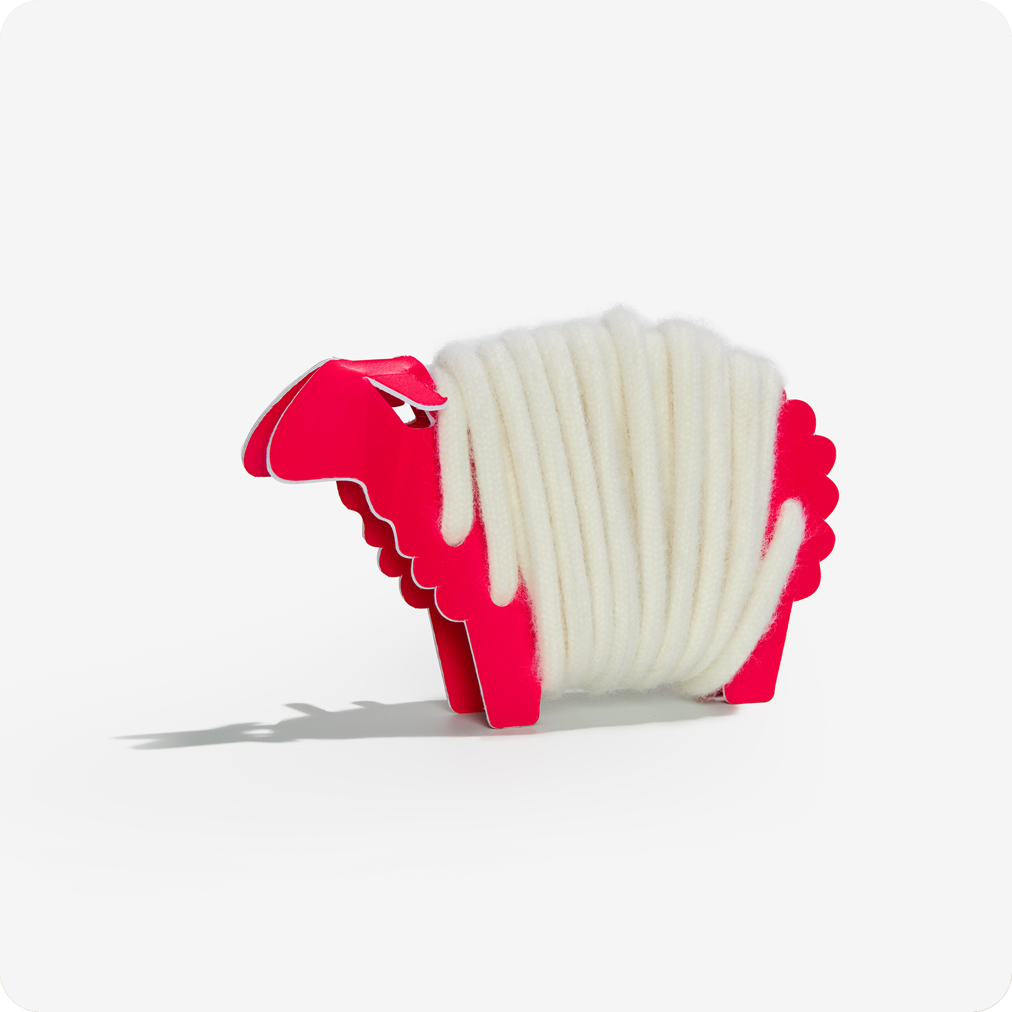 Rainbow Wool Laces made of gay sheep wool wrapped around a red paper sheep in front of a white background.